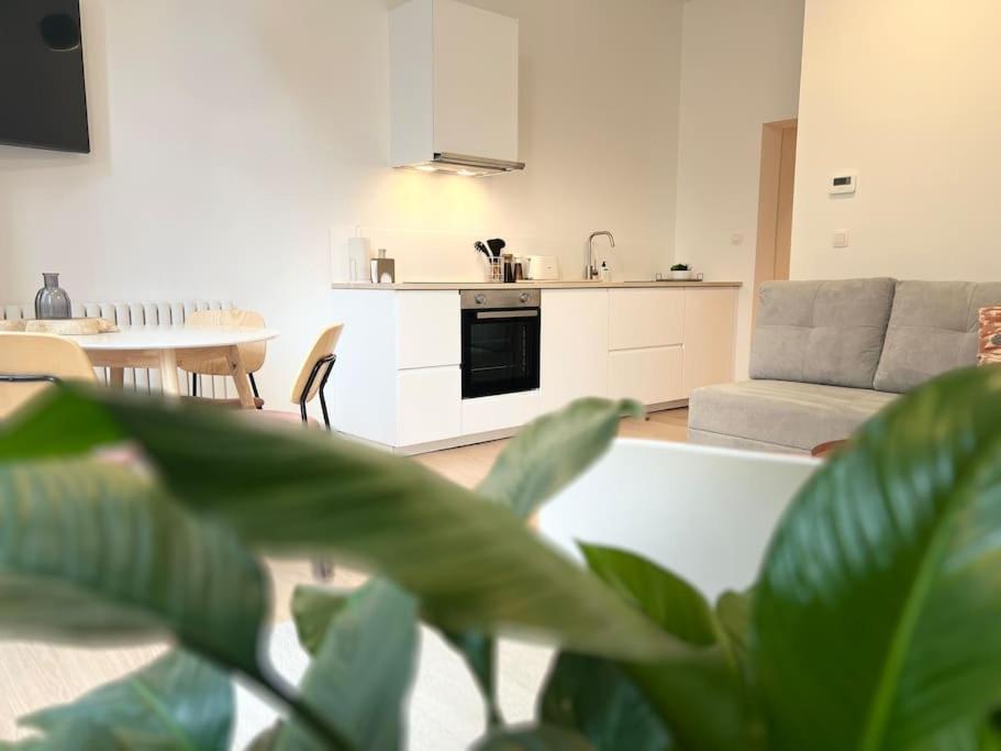 L'Escapade Chic - Cathedrale, Saint Lambert Apartment Liege Exterior photo